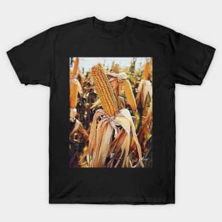 Harvest Season T-Shirt